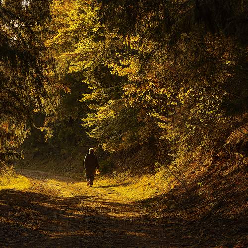 Indian summer