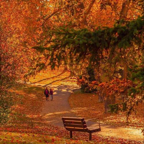 Photo #9614093