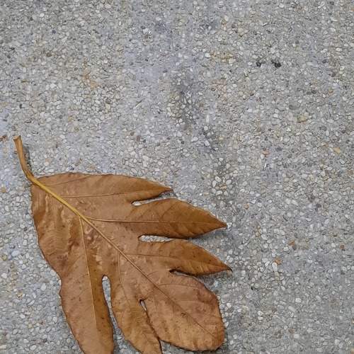 Photo #9614596