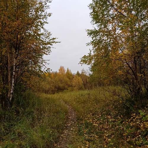 Photo #9614690