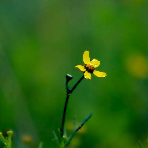 Photo #9614764