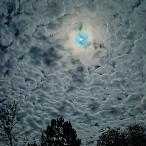 Photo #9614946