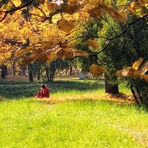 Photo #9614999