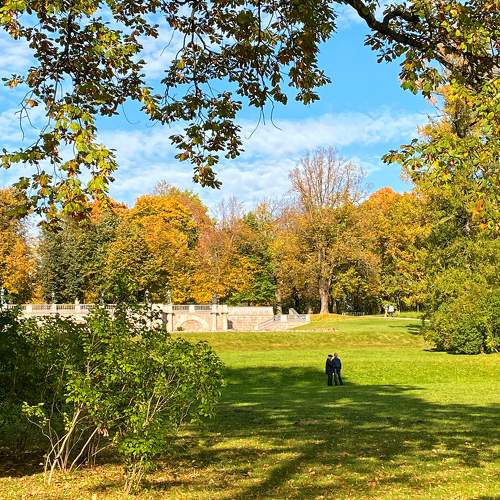 Photo #9615017