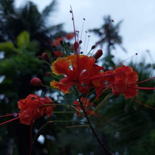 Photo #9615226