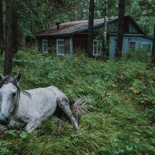 Photo #9615455