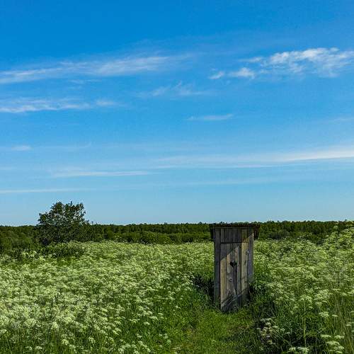 Photo #9615484