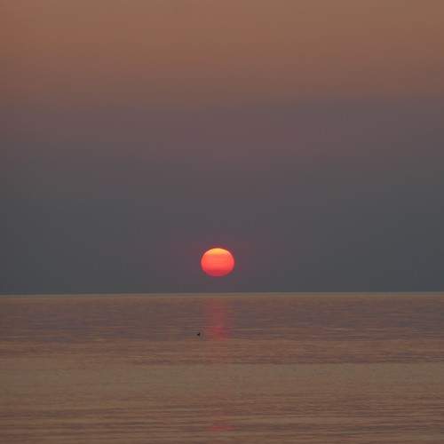 Photo #9615502