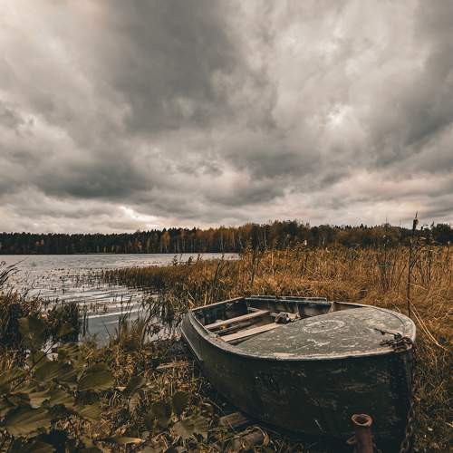 Photo #9615549