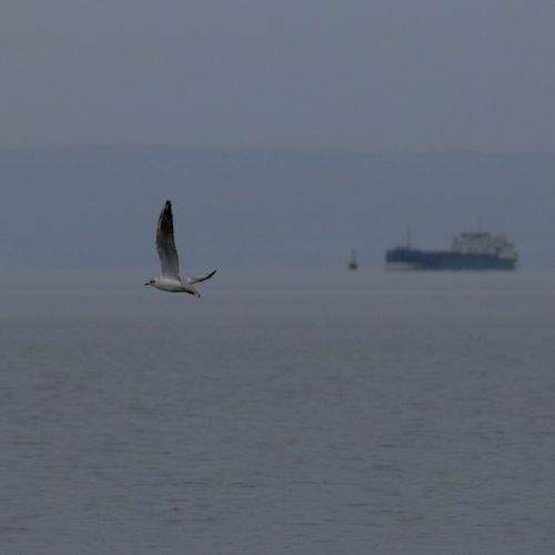 Photo #9615790