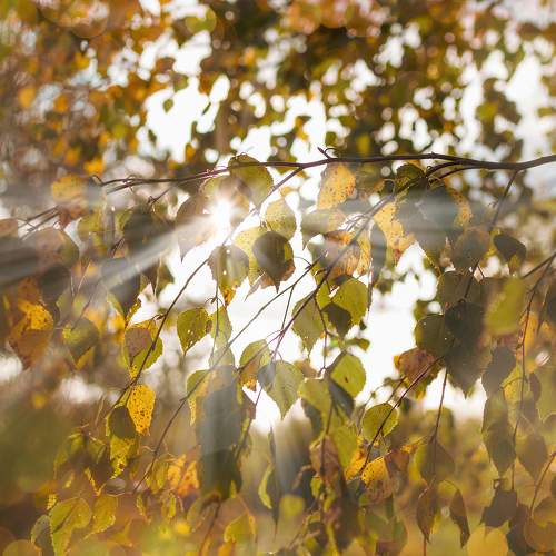 Photo #9615877