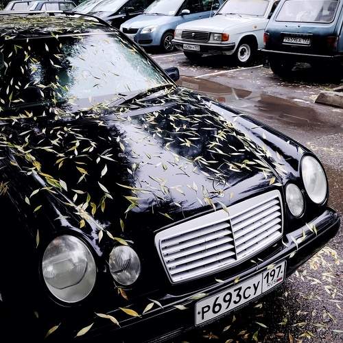 Photo #9616255