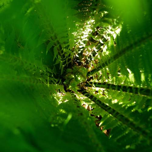 Photo #9616362