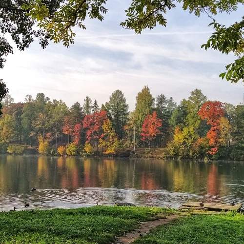 Photo #9616601