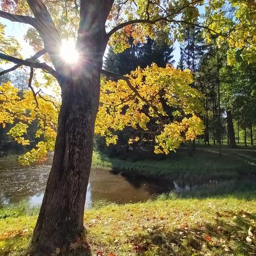 Photo #9616616