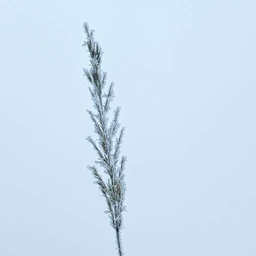 Photo #9616697