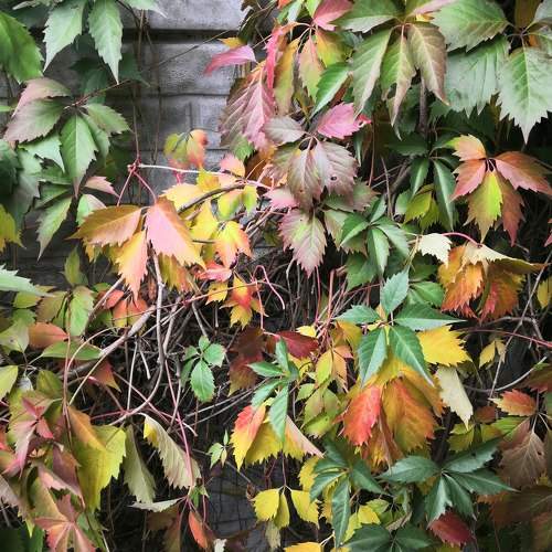 Photo #9616980