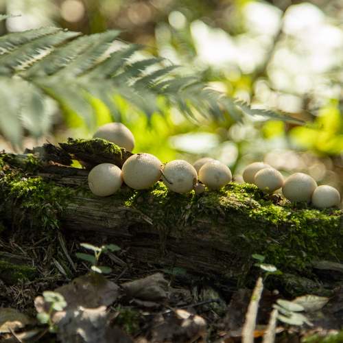 Photo #9617220