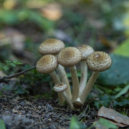 Photo #9617221