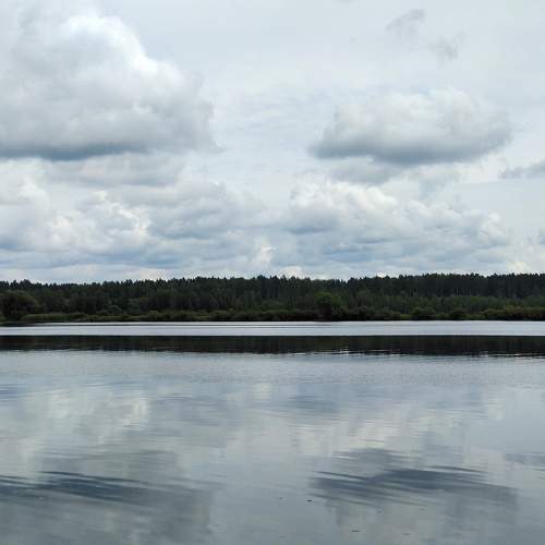 Photo #9617295