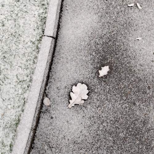 Photo #9617716
