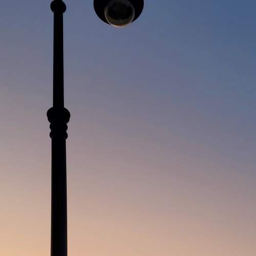 Photo #9618072