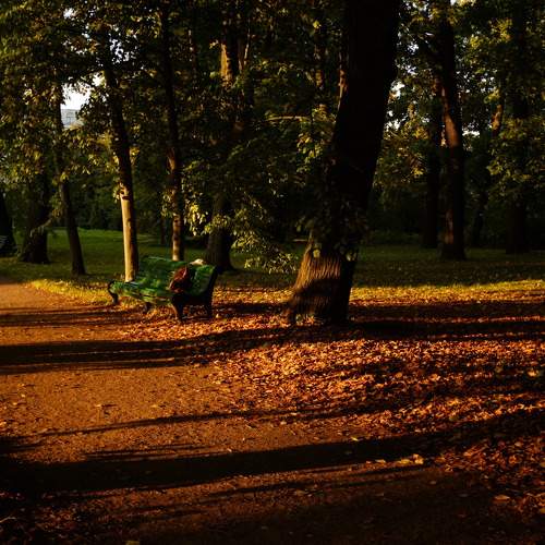 Photo #9618123