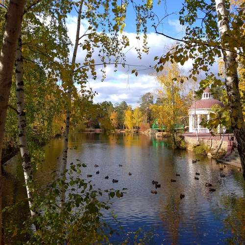 Photo #9618547