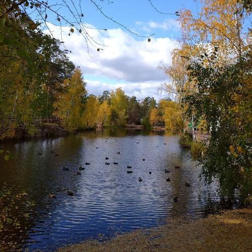 Photo #9618558