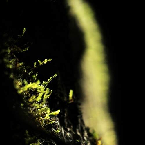 Photo #9618626
