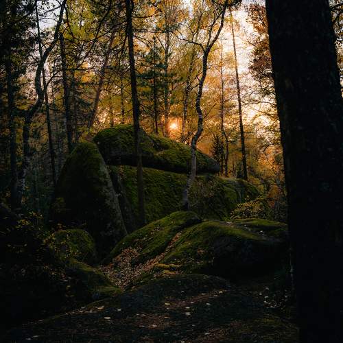 Photo #9618657