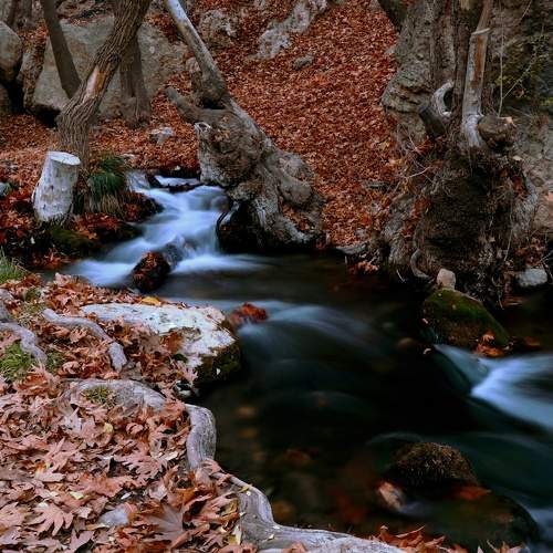 Photo #9618790