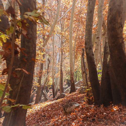 Photo #9618795