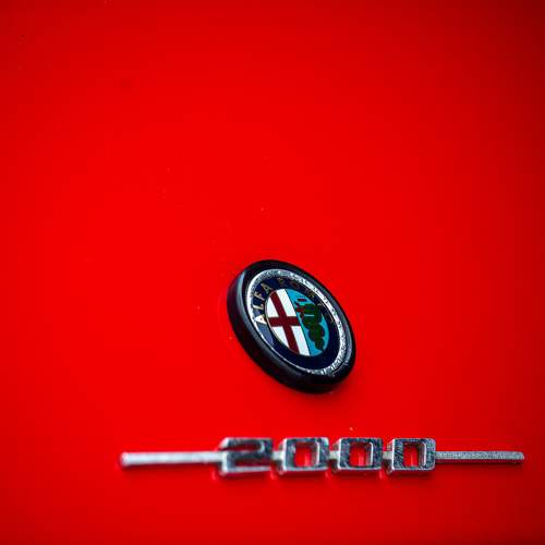Photo #9619002