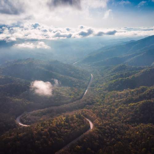 Photo #9619320