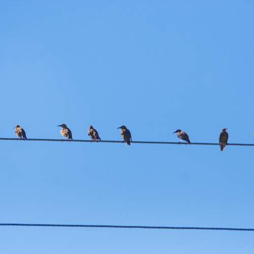 Photo #9619469