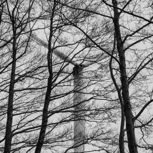 Photo #9619610