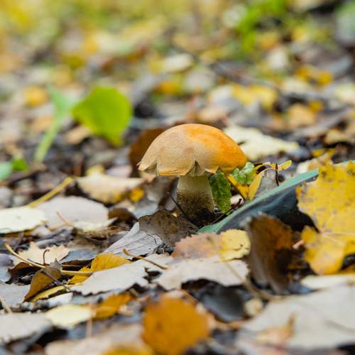 Photo #9619765