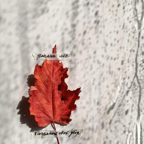 Photo #9619915
