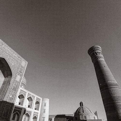 Photo #9620014