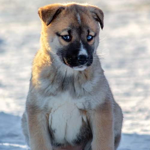 Photo #9620081