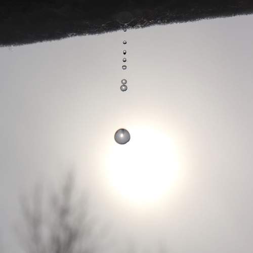 Photo #9620139