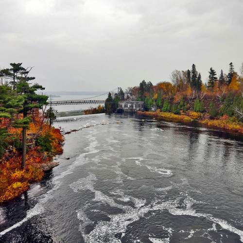 Photo #9620144