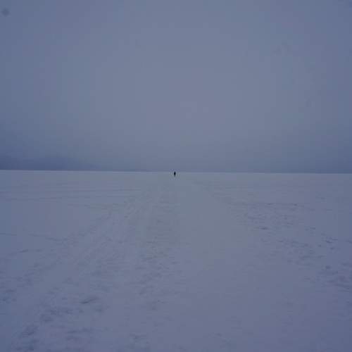 Photo #9620165
