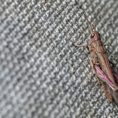 Photo #9621399