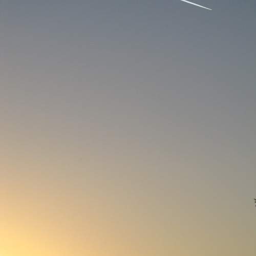 Photo #9621400
