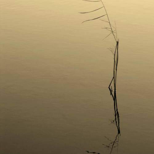 Photo #9621408