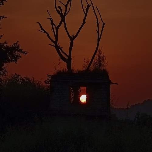 Photo #9621551