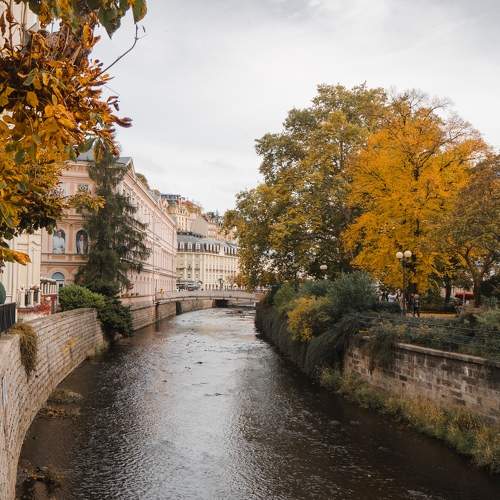Photo #9621644