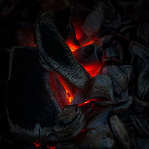 Photo #9621817